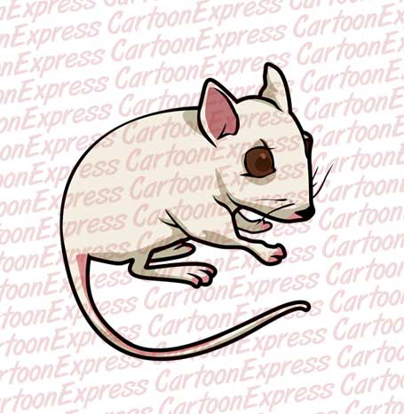 mouse white